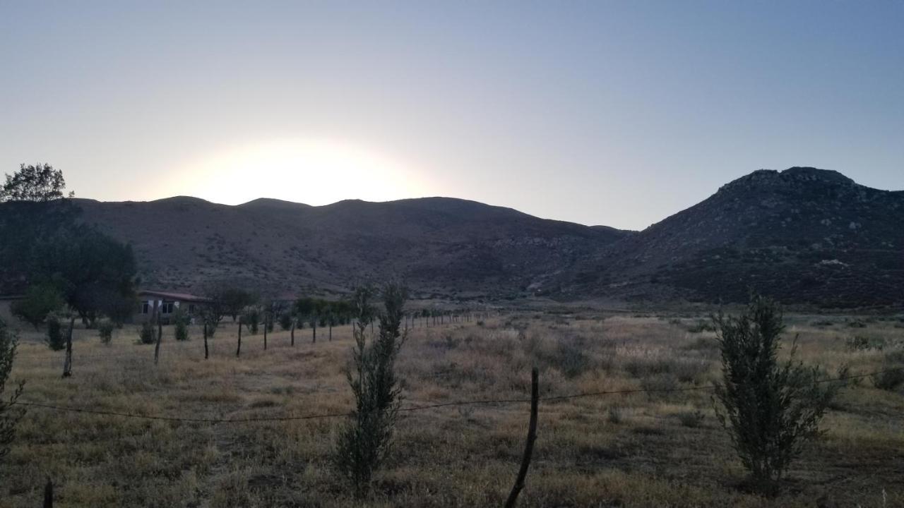 Cabanas Los Laureles Ruta Del Vino Bc 恩塞纳达港 外观 照片